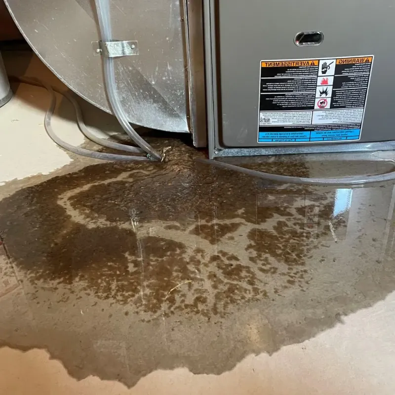 Pipe Burst and Leak Restoration in Weyers Cave, VA